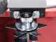 Marina Systems S500H - Profi Vertikutierer mit fliegender Messerwalze - Motor Honda GP 160