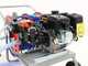 Kit Motorspr&uuml;hpumpe Comet MP 30 Loncin G200F auf Karren Dal Degan mit 150 l Tank