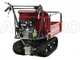 GeoTech Pro Raupendumper GeoPorter 330E BS B&amp;S CR950 mit ausziehbaren Seitenw&auml;nden - 300 kg
