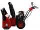 GeoTech-Pro STP971 WEBS - Benzin-Schneefr&auml;se - B&amp;S 1450 Snow