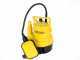 Elektrische Tauchpumpe f&uuml;r Klarwasser Lavor EDP-5000 - Elektropumpe 350 W - 5000 l/h