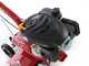 Eurosystems E3-EVO RM Motorhacke mit 4-takt Loncin Benzinmotor 4-takt Motor 139 ccm