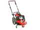GeoTech DG 58 F - Fadenm&auml;her mit R&auml;dern ohne Radantrieb - mit Benzinmotor Loncin 196 ccm