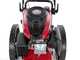 GeoTech DG 58 F - Fadenm&auml;her mit R&auml;dern ohne Radantrieb - mit Benzinmotor Loncin 196 ccm