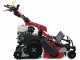 GINKO-MGM TT 786 HD - Hochgrasm&auml;her mit Y-Messern , Hondamotor GX270