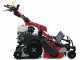 GINKO-MGM TT 786 HD - Hochgrasm&auml;her mit Y-Messern , Hondamotor GX270