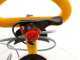 Benzin Spritzpumpe ARCO Froggy S20 mit Motor TU26-QL - Tank 20 l