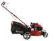 Benzin Rasenm&auml;her GeoTech Pro S46-140B mit Motor GeoTech 141ccm