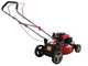 Benzin Rasenm&auml;her GeoTech Pro S46-140B mit Motor GeoTech 141ccm