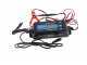 Batteriebetriebener elektrischer Olivenr&uuml;ttler Aima MIRAGE AF 12V 193-273 cm - Schaft + Verl&auml;ngerung