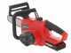 Einhell GE-LC 18 Li - Akku-Kettens&auml;ge 18V 3Ah - Schwert 25cm