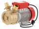 Rover 50 BE-M - Elektropumpe  aus Bronze