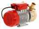 Rover 50 BE-M - Elektropumpe  aus Bronze