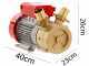 Rover 50 BE-M - Elektropumpe  aus Bronze