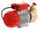 Rover 50 BE-M - Elektropumpe  aus Bronze
