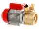 Rover 50 BE-M - Elektropumpe  aus Bronze