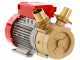 Rover 50 BE-M - Elektropumpe  aus Bronze