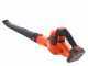 Mulchm&auml;her Marina Systems GRINDER 52 VKW - Mit Motor Kawasaki FJ180V - 52cm Schnittbreite - Doppelmulchmesser