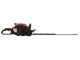 Professioneller Schlegelmulcher Lampacrescia MGM TTR560 - Honda-Motor GX160