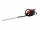 Professioneller Schlegelmulcher Lampacrescia MGM TTR560 - Honda-Motor GX160