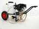 Kit Spr&uuml;hpumpe Comet MTP MC 25 - Loncin 148F-2 und Wagen mit 120 l Tank und Aufh&auml;ngung