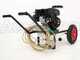 Kit Spr&uuml;hpumpe Comet MTP MC 25 - Loncin 148F-2 und Wagen mit 120 l Tank und Aufh&auml;ngung