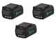 Campagnola Stark XL - Akku Baumschere -  3x 21.6V 2.5 Ah