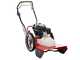 Blue Bird FLO Speed 6HO - Benzin-Fadenm&auml;her - Messer und Fadenkopf - Honda GCVx170