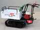 Raupendumper Seven Italy T300 GX-E - ausdehnbare Mulde - Elektrostarter - Tragf&auml;higkeit 300 kg