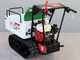 Raupendumper Seven Italy T300 GX - ausdehnbare Mulde - Tragf&auml;higkeit 300 kg