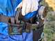 Campagnola Stark XL - Akku Baumschere - mit Kabel-Set und Akku-Holster -  3x 21,6V 2,5 Ah