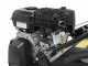 Blackstone AR400 - Vertikutierer mit fester Messerwalze - Motor B&amp;S CR950