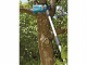 Akku-Astkettens&auml;ge auf Teleskopschaft Gardena TCS 20/18V P4A Ready-To-Use Set