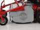 GeoTech-Pro GFM 600 L - Profi-Hochgrasm&auml;her mit Hammerwerk  - Loncin Motor 250 ccm
