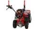 GeoTech-Pro GFM 600 L - Profi-Hochgrasm&auml;her mit Hammerwerk  - Loncin Motor 250 ccm