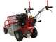 GeoTech-Pro GFM 600 L - Profi-Hochgrasm&auml;her mit Hammerwerk  - Loncin Motor 250 ccm