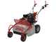 GeoTech-Pro GFM 600 L - Profi-Hochgrasm&auml;her mit Hammerwerk  - Loncin Motor 250 ccm