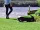 M&auml;hroboter Greenworks OPTIMOW 10 GRL110 - mit Begrenzungskabel