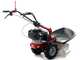 Eurosystems RS210 &ndash; Mehrzweckger&auml;t Scheibenm&auml;her &ndash; Loncin 196 OHV