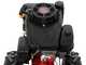 Eurosystems RS210 &ndash; Mehrzweckger&auml;t Scheibenm&auml;her &ndash; Loncin 196 OHV