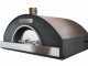 AgriEuro inox F00100 - Industrieller Holzbackofen - 220x160x98 cm
