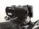 BlackStone SG 420 B&amp;S ES PRO - Baumstumpffr&auml;se - Motor B&amp;S XR2100 420 ccm - Schneideger&auml;t mit 8 Wolframkarbidh&auml;mmern