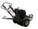 BlackStone SG 420 L ES PRO - Baumstumpffr&auml;se&nbsp;- Loncin-Motor 420ccm - Schneideger&auml;t mit 8 Wolframkarbidh&auml;mmern