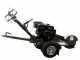 BlackStone SG 420 L ES PRO - Baumstumpffr&auml;se&nbsp;- Loncin-Motor 420ccm - Schneideger&auml;t mit 8 Wolframkarbidh&auml;mmern