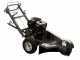 BlackStone SG 420 L ES PRO - Baumstumpffr&auml;se&nbsp;- Loncin-Motor 420ccm - Schneideger&auml;t mit 8 Wolframkarbidh&auml;mmern