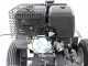 BlackStone SG 420 L ES PRO - Baumstumpffr&auml;se&nbsp;- Loncin-Motor 420ccm - Schneideger&auml;t mit 8 Wolframkarbidh&auml;mmern