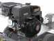 BlackStone SG 420 L ES PRO - Baumstumpffr&auml;se&nbsp;- Loncin-Motor 420ccm - Schneideger&auml;t mit 8 Wolframkarbidh&auml;mmern