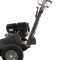 BlackStone SG 420 B&amp;S - Baumstumpffr&auml;se - Motor B&amp;S XR2100 420 ccm - Schneideger&auml;t mit 8 Wolframkarbidh&auml;mmern