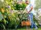 Bosch Easy GrassCut 26 - Elektro-Rasentrimmer -  280W