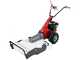 Eurosystems Minieffe M150 RM - Benzin-Hochgrasm&auml;her - Messer -  B&amp;S 625 EXi